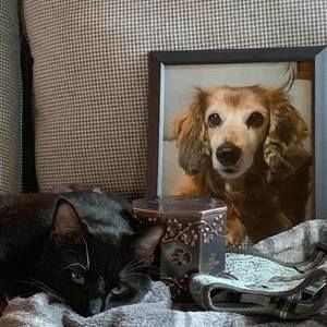 Meet your Posher, Duwayne